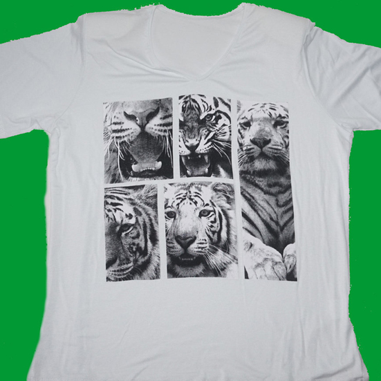 Printplast Transparente